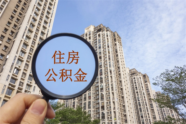 查询我的住房公积金-宁津公积金代办平台